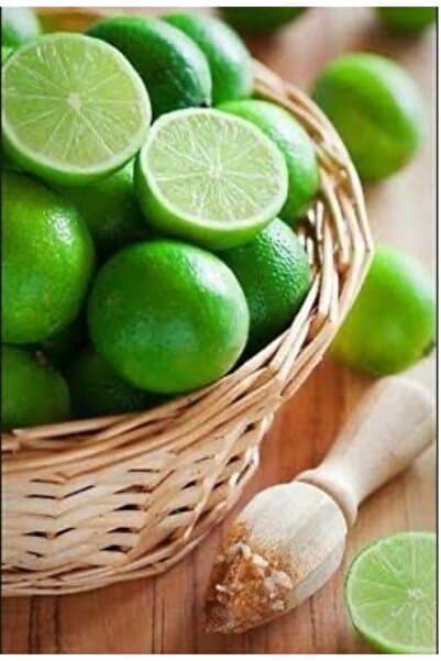 ADKTROPİKAL 12 ADET LİME LİMON