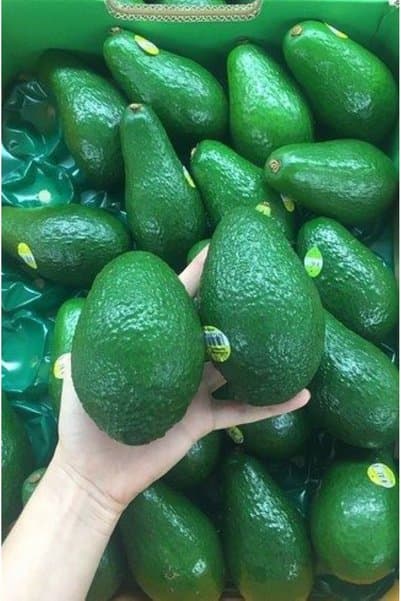 MANAVGOOD Avokado Mini Boy 6-8 Adet 1 KG TAZE HASAT YERLİ ÜRETİM