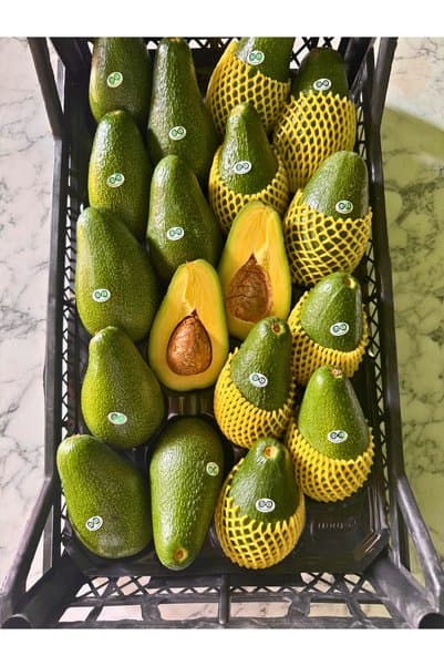 FUERTE Avokado 1 kg Taze Hasat Yerli Üretim