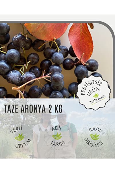 TARLA KUŞU TAZE ARONYA MEYVESİ 2 KG İLAÇSIZ ANALİZLİ