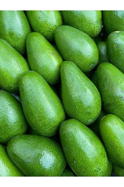 KILINÇ TROPİKAL 1 Kg Avokado