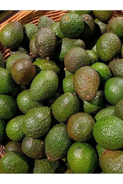 TROPİKYUM AVOKADO En Mini Boy 1 Kg (8-10 Adet) Taze Hasat Yerli Mahsul