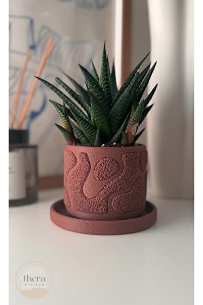 Thera Bottega Mossa Dekoratif Mini Bitki/Sukulent Saksısı - 7.5 Cm Yükseklik (BİTKİ DAHİL DEĞİLDİR.)