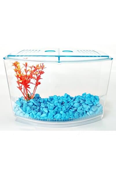 Atlantic Betalık Bölmeli Izgaralı Betta Beta Kabı Tankı Akvaryum 1800 ml - 19x8x13 cm Renk Mavi