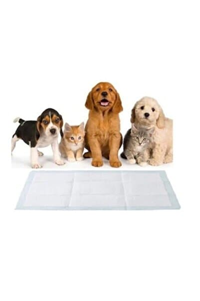 Genel Markalar Yatak Koruyucu Pedi 60x90 cm, 30'lu Paket, Temiz ve Koruyucu Serme