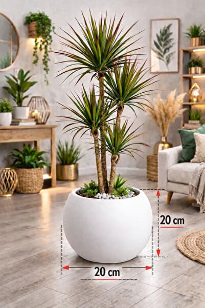 CANBOTANİK Yuvarlak Küre Saksı 20 Cm Saksı Beyaz Plastik (İÇLİKSİZ) Saksı Çiçek Saksısı