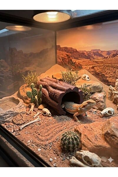 VİONEL Daire Kütük Sürüngen Teraryum Kütük Mağara – Reptile Saklanma Alanı (Kertenkele, Gecko, Yılan İçin)