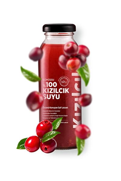 Gümüşsu Gümüşhane %100 Kızılcık Suyu 250 ML 1 Adet