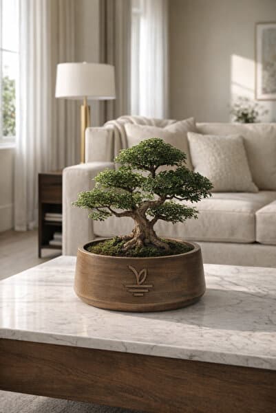 ESG PLUS Cookie 17 cm Eskitme Dekoratif Beton Kaktüs Sukulent ve Bonsai Saksısı – El Yapımı