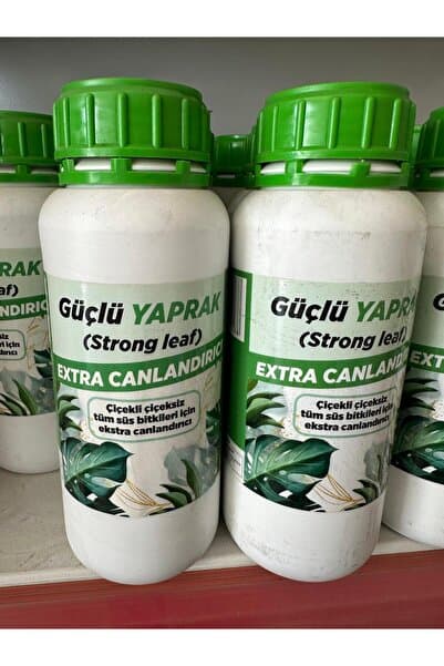GÜÇLÜ ÇİÇEK GÜÇLÜ YAPRAK 500 ML