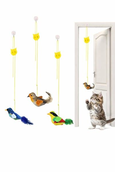 HAYHAYPETSHOP Kapıya Asılan Kedi Oyuncağı Sesli Kuşlu Elastik Kedi Oyuncağı Hareketli Kedi Eğlence Oyuncağı