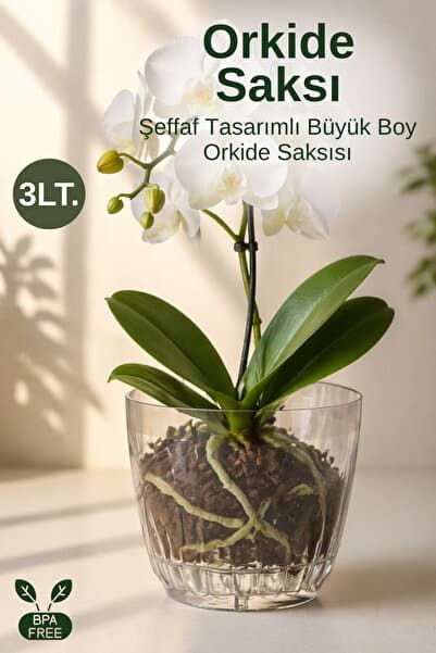 Nandy Home Orkide Saksısı Büyük Boy Şeffaf Alt Tablalı Dekoratif Saksı