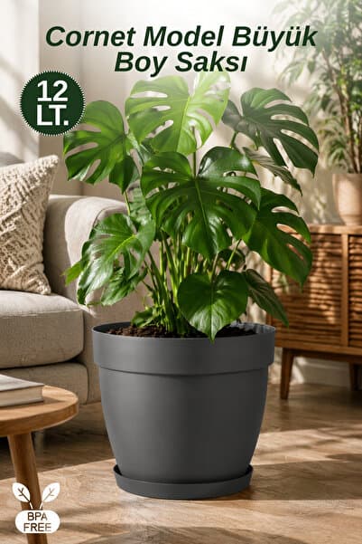 Ginza Maison Cornet Model Büyük Boy Saksı 28 cm Çift Drenajlı Alt Tablalı
