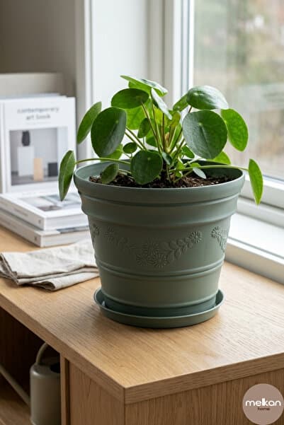 Melkan Home Dekoratif Papatya Desenli Saksı 3 Litre – Çok Amaçlı Dayanıklı Çiçek Saksısı, Balkon, Bahçe ve Salon Saksısı 19x16,5 cm