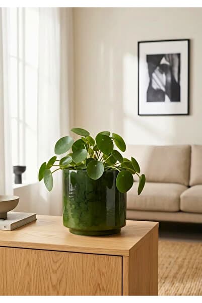 HOMİNG Elora Dekoratif Retro Yeşil Renkli Seramik Saksı 13 cm