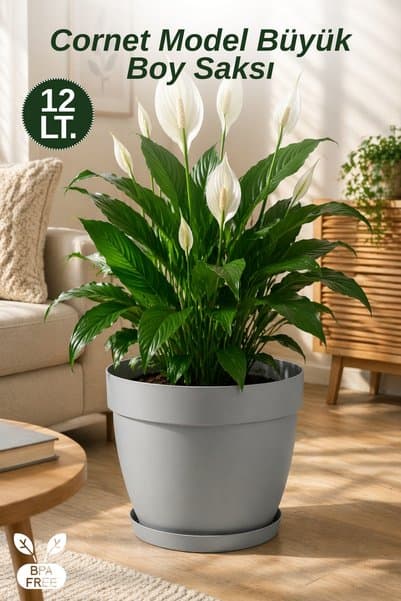 Ginza Maison Cornet Model Büyük Boy Saksı 28 cm Çift Drenajlı Alt Tablalı