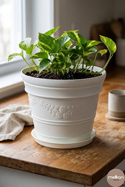 Melkan Home Papatya Desenli Dekoratif Beyaz Saksı 3 Litre – Dayanıklı Çiçek Saksısı, Balkon Bahçe ve Salon