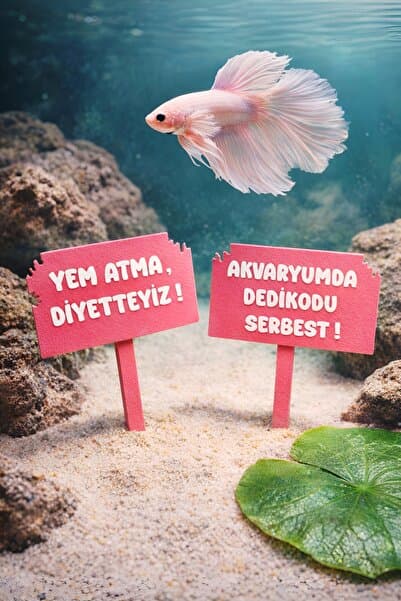 Akvaryum 2'li Set Yem Atmayınız ! ve Akvaryumda Dedikodu Serbest ! Dekoru