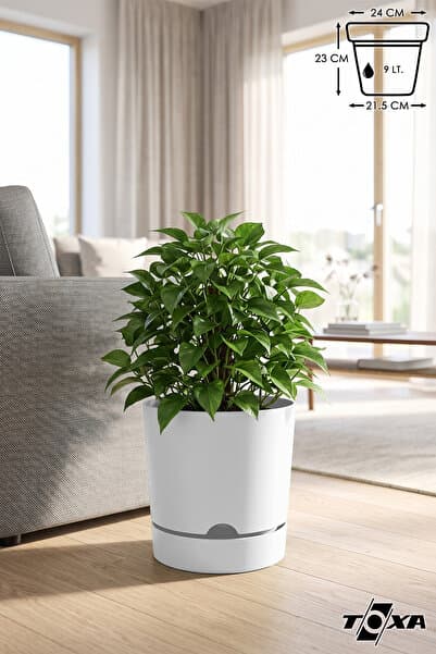ToXA 9 Litre Beyaz Delikli Saksı Tabaklı Dekoratif Mat Plastik Saksı
