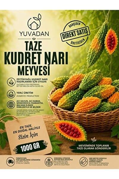 YUVADAN 1 Kg Taze Kudret Narı Meyvesi - Tarladan Bitter Melon Karela Bitter Gourd - Ananas Detox Çayı Hediyeli