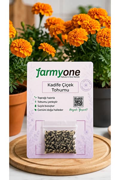 farmyone Kadife Çiçek Tohumu 100 Adet