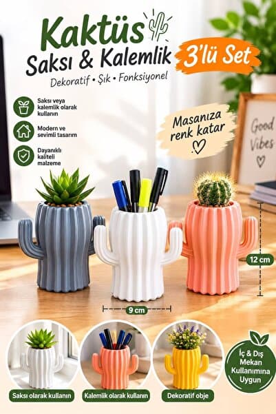 bimbambom Kaktüs Saksı, Sukulent Saksı, Plastik Saksı 3 adet mix