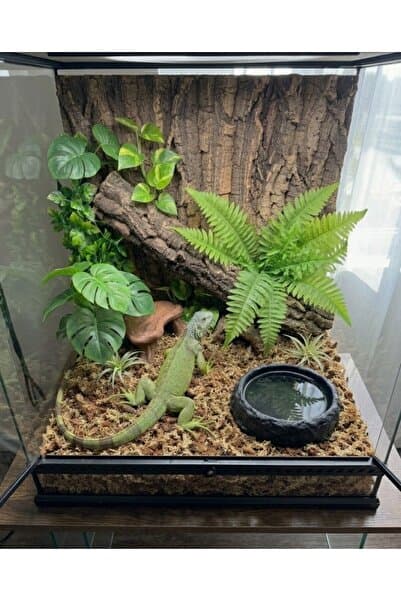 nexlun Cozy Gecko İguana Teraryum Su ve Yem Kabı – Doğal Kütük Görünümlü Sürüngen Mama Kabı