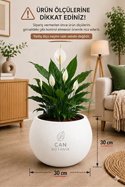 CANBOTANİK Salon Saksı Küre Saksı 30 Cm Beyaz Saksı Plastik Saksı Çiçek Saksısı