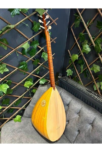 Sazhane Orta Kalite Ses Kafesli Kısa Dut Tekne Bağlama(Kılıf+Yedek Takım Tel+Tezene)