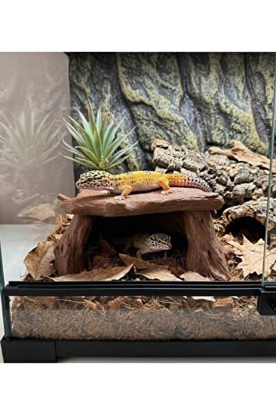 nexlun Sürüklenen Gecko Teraryum Kütük Mağarası – Saklanma ve Dinlenme Alanı | Sürüngen Dekoru
