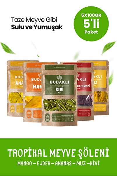 Budaklı Tropikal Kuru Meyve Paketi 5x100 Gr Mango Kivi Muz Ananas Ejder Meyvesi Katkısız İlave Şekersiz