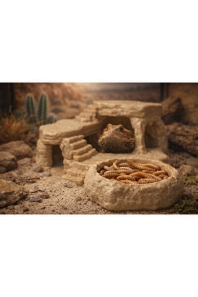 ecraft3D Kaya Görünümlü Sürüngen Yem Kabı
