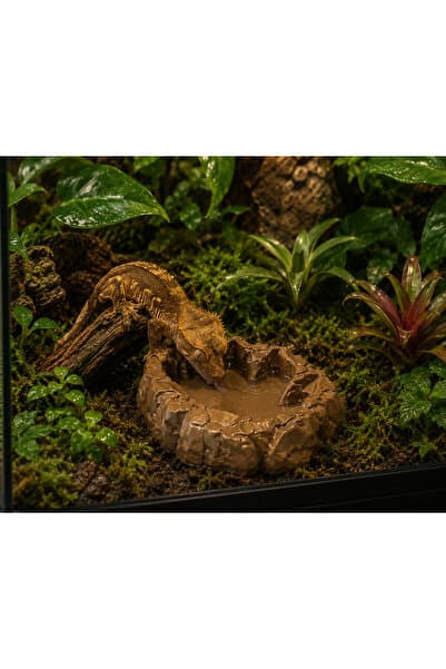 ecraft3D Dinozor Ayak İzi Sürüngen Su Kabı