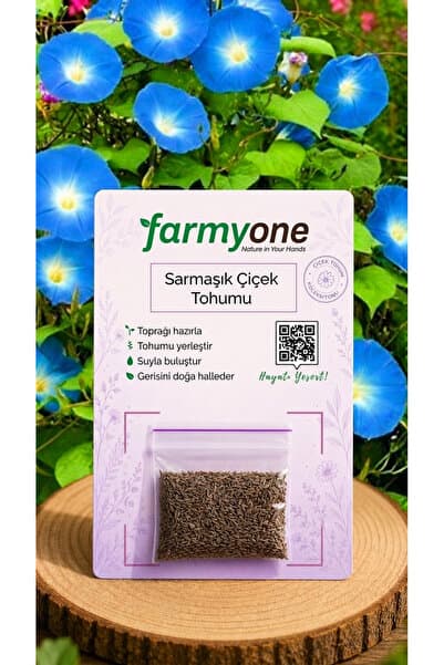 farmyone Sarmaşık Çiçek Tohumu – 50 Adet