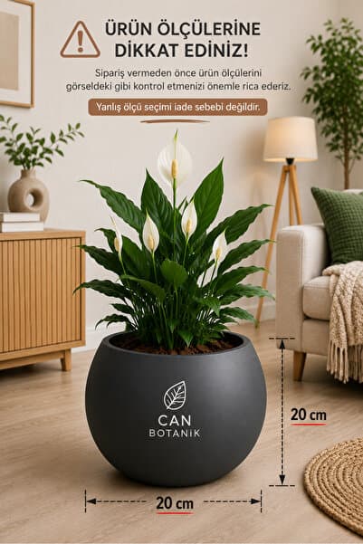 CANBOTANİK Antrasit küre saksı 20 cm dekoratif salon Saksısı (İÇLİKSİZ)