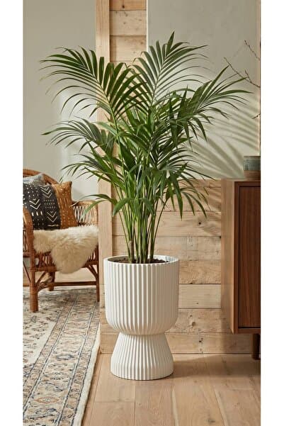 Bliss Lotus Vazo Saksı 10,5 litre Plastik Çiçek Saksısı Salon Saksısı