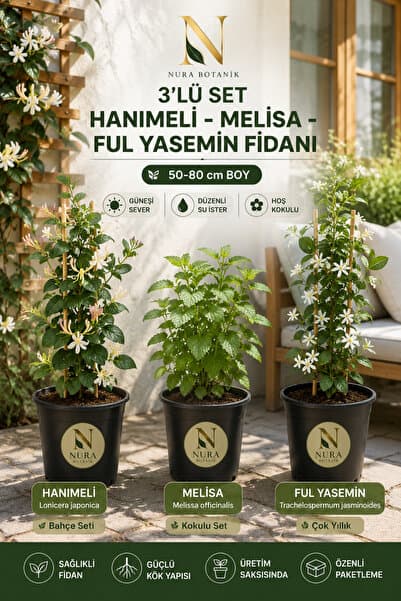 Nura Botanik Kokulu Bahçe Seti Hanımeli Fidanı+Melisa Çiçeği +Ful Yasemin Fidanı(40-80CM)