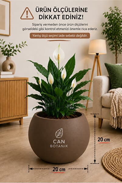 CANBOTANİK Küre Saksı 20 Cm Saksı mocha Plastik Saksı Çiçek Saksısı Salon Saksı
