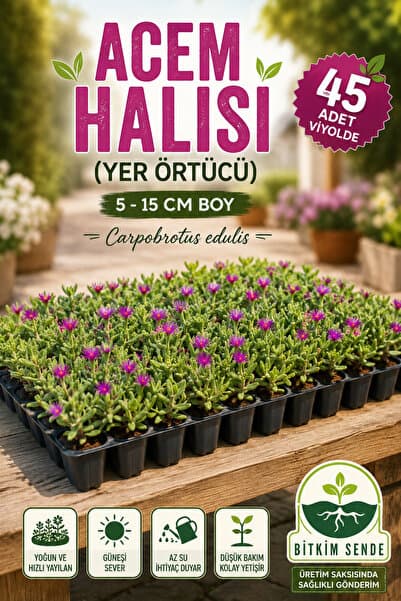 Bitkim Sende Videolu Acem Halısı-mezarlık Kabir Çiçeği 45 Adet Tüplü Dış Mekan Ağaçları
