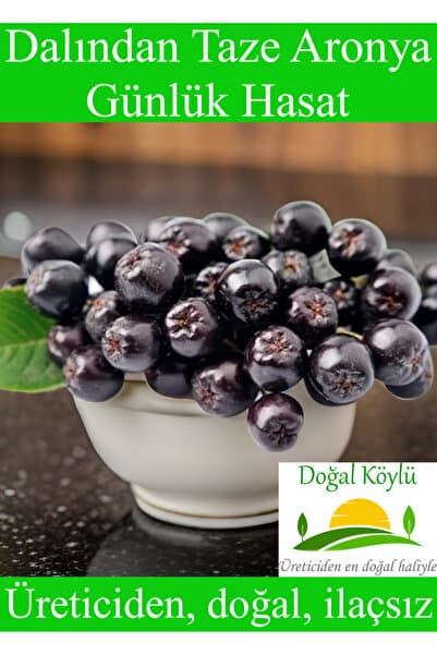 Doğal Köylü Dalından Taze Aronya Meyvesi 1kg - Üreticiden, Doğal, İlaçsız