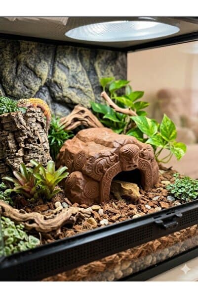 nexlun Mario Gecko Saklanma Mağarası – Sürüngen Teraryum Dekoru | Leopard & Crested Gecko Hide