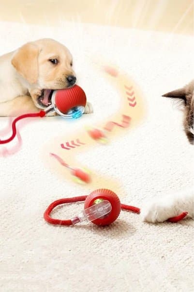 ipets ŞARJLI KEDİ TOPU IŞIKLI HAREKETLİ 3 MODLU KEDİ OYUNCAĞI C02