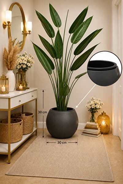 CANBOTANİK İÇ DRENAJ HAZNELİ ANTRASİT KÜRE 30 SAKSI 39x38 SALON SAKSI