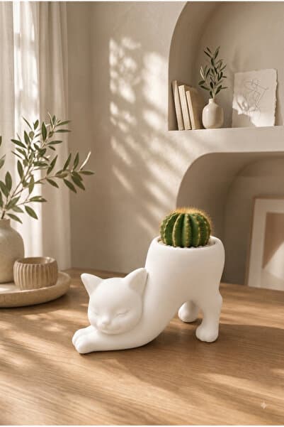SYLVA CONCEPT Dekoratif Kedi Saksı – Modern Minimal Tasarım | Kaktüs ve Sukulentler İçin Şık Saksı