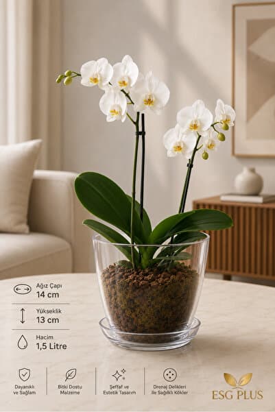 ESG PLUS Şeffaf Orkide Saksısı 14 cm Drenaj Delikli 1,5 L Tabaklı Plastik Saksı