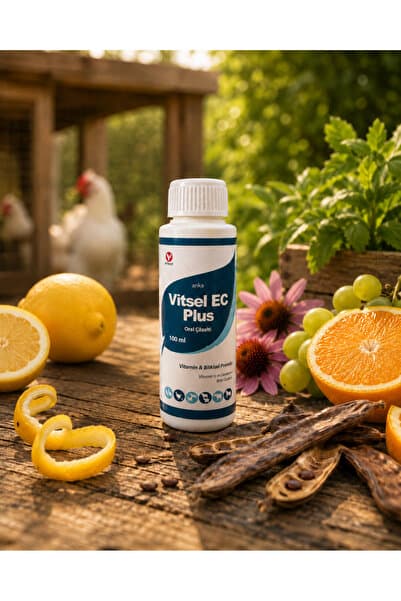 AnkaVet Güvercin Tavuk Papağan Kanarya Muhabbet Kuşu Ve Kanatlı Kuş E Vitamini Selenyum Vitsel Ec Plus