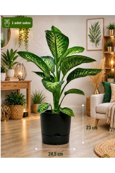 leogarden Saksı Begonya 9 Lt Antrasit Tabaklı Saksı (LEOFLOWERS ÜRÜNÜ)ağız Çapı 24.5 Cm Yükseklik 23 Cm