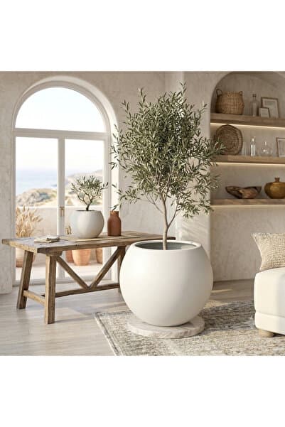CANBOTANİK İÇ DRENAJ HAZNELİ 30 cm Yuvarlak Saksı Salon Saksı Küre Saksı 30 Cm Beyaz Saksı Plastik Saksı Çiçek Saksısı
