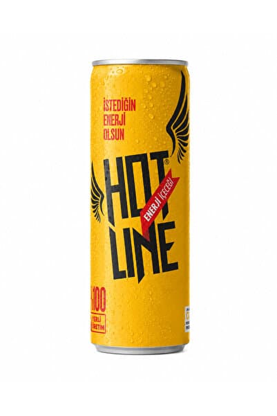 Hotline Enerji İçeceği 250 ml 24'lü