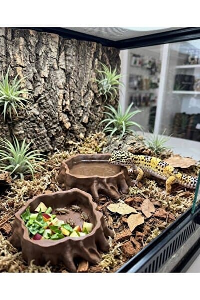 nexlun Trunk Sürüngen Yemek ve Su Kabı – Leopard Gecko, Kertenkele, Teraryum Besleme Kabı